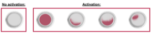 ShockDot activation examples